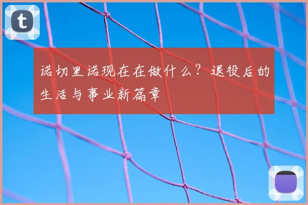 诺切里诺现在在做什么？退役后的生活与事业新篇章