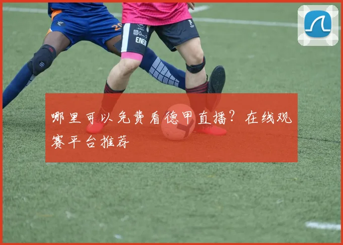 哪里可以免费看德甲直播?在线观赛平台推荐