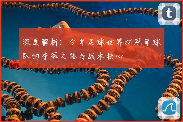 深度解析：今年足球世界杯冠军球队的夺冠之路与战术核心