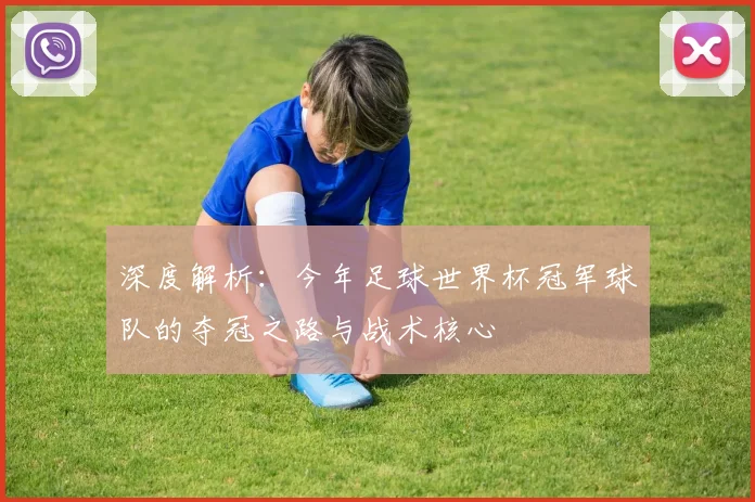 深度解析：今年足球世界杯冠军球队的夺冠之路与战术核心