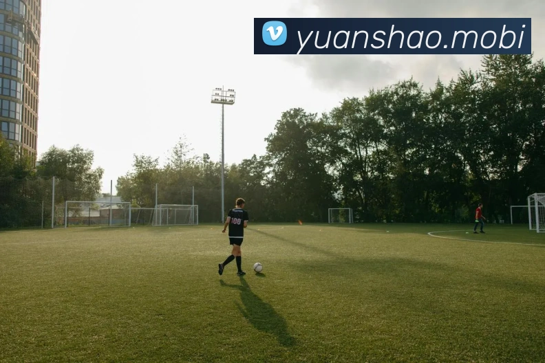 开云手机在线登陆入口品牌故事