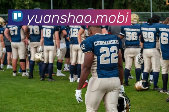 开云手机在线登陆入口服务体系